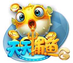 娱乐星空安卓版